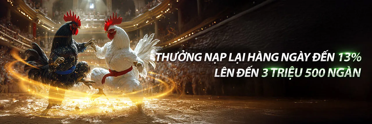 Sân đấu đá gà trực tiếp sôi động tại 8live nổ hũ